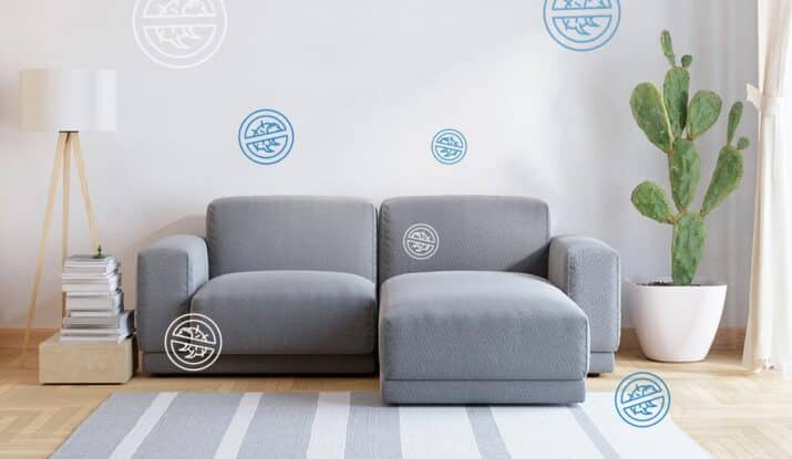 บริการกำจัดไรฝุ่น